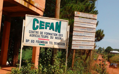 Un Viaje a Guinea Ecuatorial: Realidades Ocultas Tras el Espejo de la Propaganda