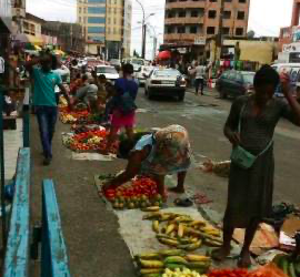 Invertir en Libertad: la política económica del partido del progreso para GE
